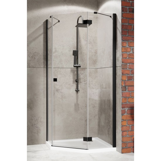 Душевой уголок Radaway Essenza New Black PTJ R 100x100
