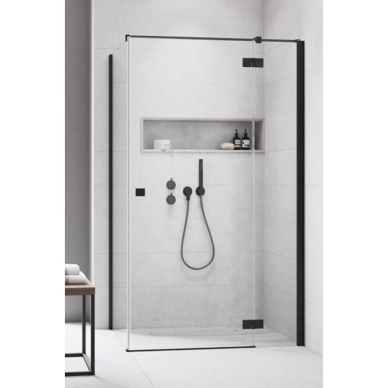 Душевой уголок Radaway Essenza New Black KDJ 110x100