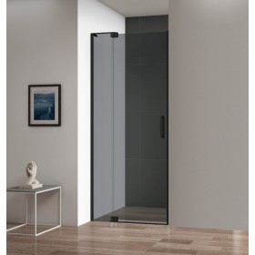 Душевая дверь Cezares SLIDER-B-1-90/100-GRIGIO-NERO (90-100)x195 стекло серое, профиль черный