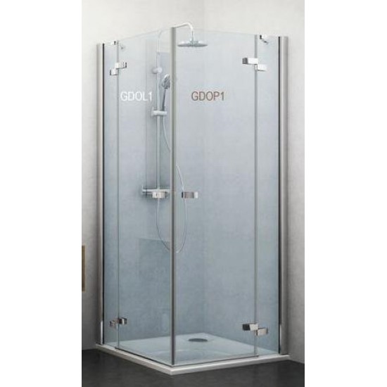Душевая дверь Roth (Roltechnik) Elegant Line GDOL1 (P1) 100