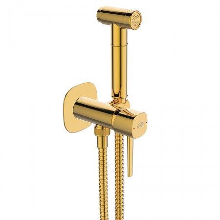 Смеситель для биде скрытого монтажа Laveo Pola BAP_G31P золото